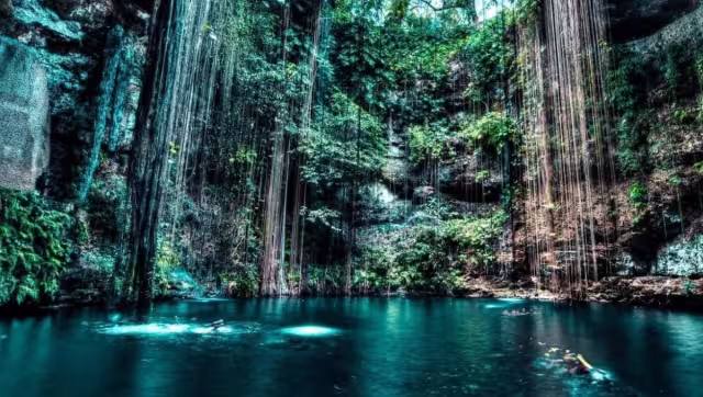 Visitar un cenote es toda una experiencia, digna de compartir