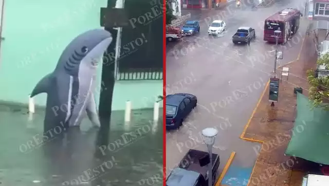Un hombre disfrazado de tiburón recorre las calles, en Carmen, donde el agua afectó la vialidad
