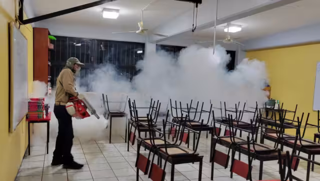 Informaron que las campañas de fumigación continúan