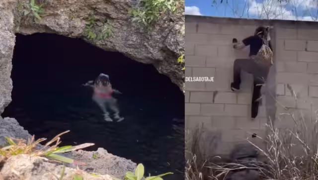 Video reaviva polémica por acceso a cenote de la UADY tras incidente con estudiante