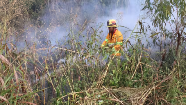 Los incendios son apagados por los mismos ejidatarios