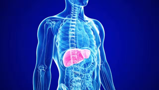 La hepatitis suele contagiarse por malos hábitos de higiene