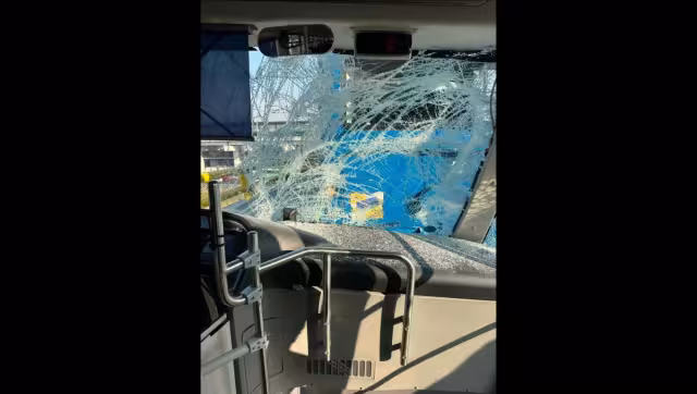 El STE informó que colaborará con las autoridades correspondientes para esclarecer los hechos