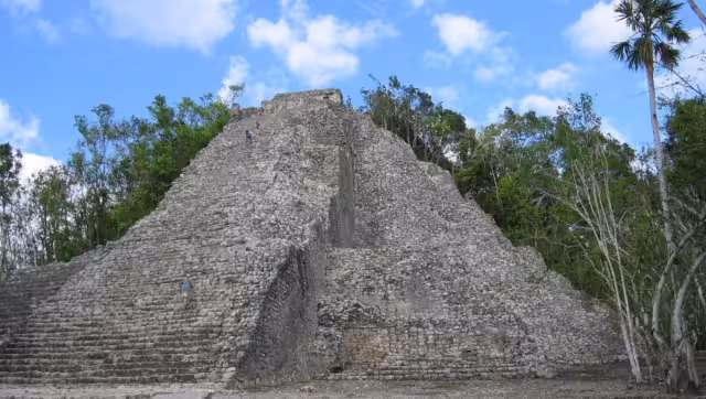 Cercas de 12 sitios mayas se podrán conocer con el Tren Maya
