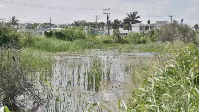 El Atlas de Riesgo de Campeche incorporará proyecciones por cambio climático.