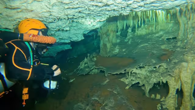 La exploración se realizó en una cueva recién descubierta