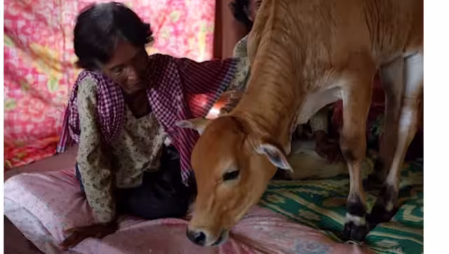 Este insólito momento ocurrió en Camboya. Foto: Especial