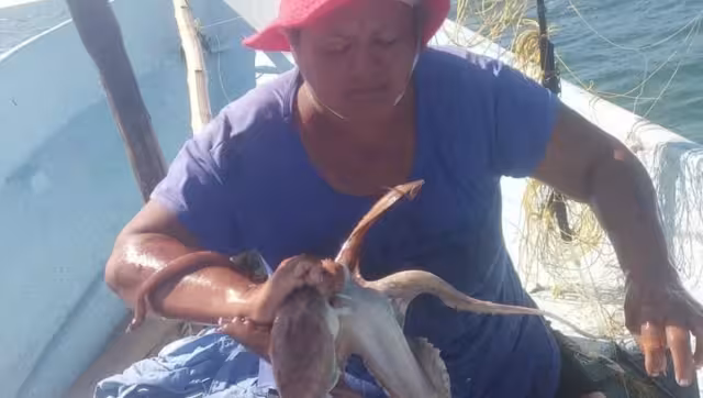 Uno de los golpes que tuvo la semana pasada fue que el precio de la carnada se elevó de 110 a los 130 pesos