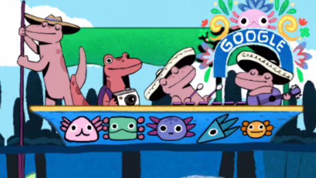 Descubre hasta cinco especies de ajolotes en divertido juego. Foto: Especial