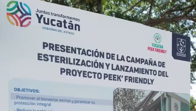El Gobierno de Yucatán busca reducir la población de perros callejeros con una campaña de esterilización