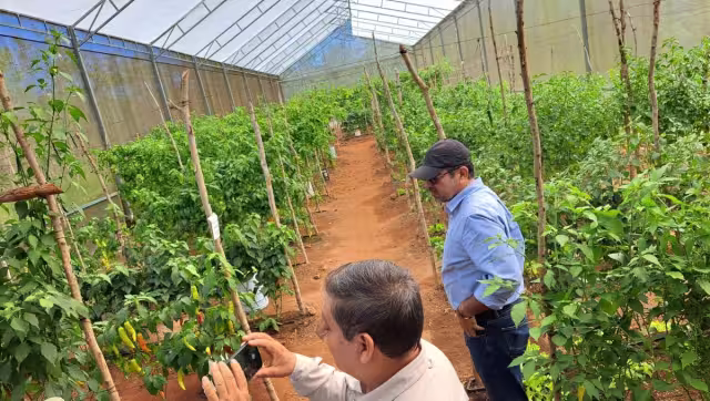 Actualmente, son 24 investigadores para atender toda la Península de Yucatán