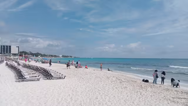 Integrantes del Movimiento Ecologista “Yax Cuxte” acusan que son proyectos que las autoridades autorizan “desde un escritorio