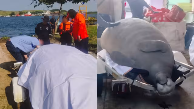 El río Coatzacoalcos enfrenta graves amenazas