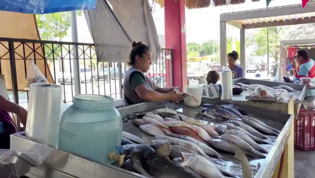 Inició la Cuaresma 2026 y los mercados de Campeche registran alta demanda de pescados y mariscos.