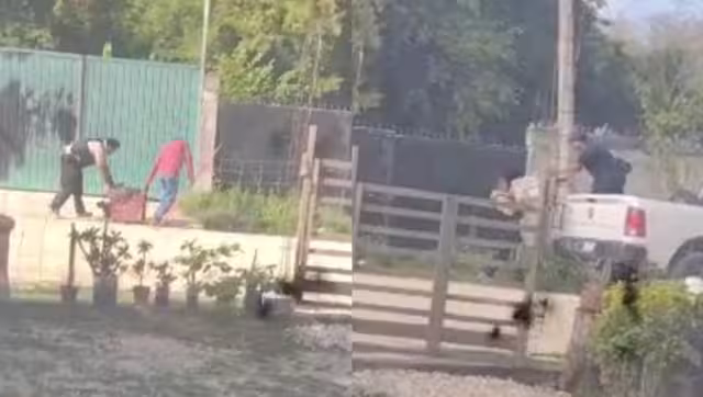 Los agentes se llevaron hasta los perros