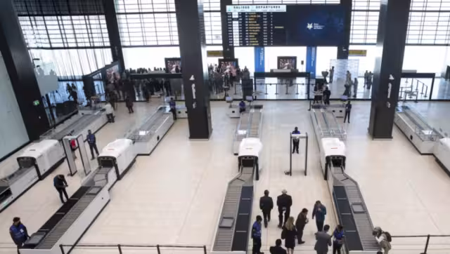 Los elementos caninos alertaron a la Guardia Nacional de las maletas con sustancias ilícitas