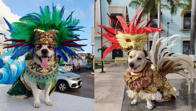 Los aspectos a calificar serán entusiasmo, originalidad, fastuosidad, glamour y congruencia.