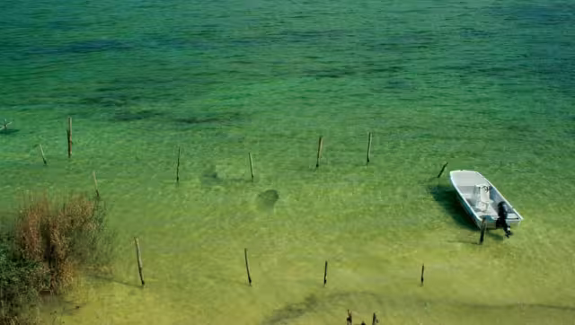 El proyecto 'Casa Habitación Zula' consiste en el cambio de uso de suelo de una superficie de mil 108.20 metros cuadrados