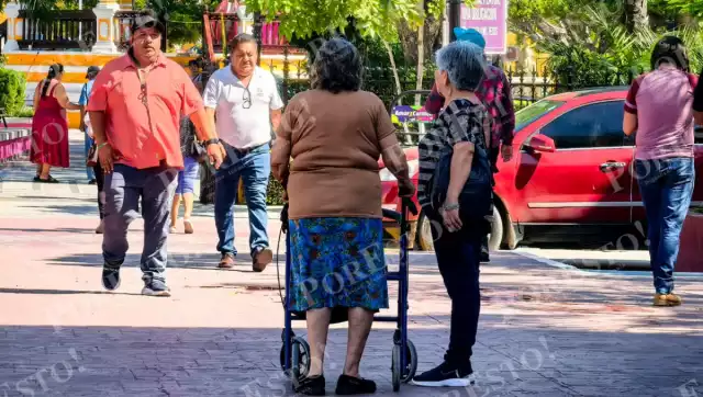 Crece visibilidad de personas con discapacidad en Campeche: asociaciones celebran avances en inclusión