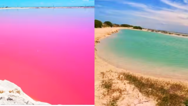 Los dos mares se encuentran en la comunidad llamada Las Coloradas, en San Felipe