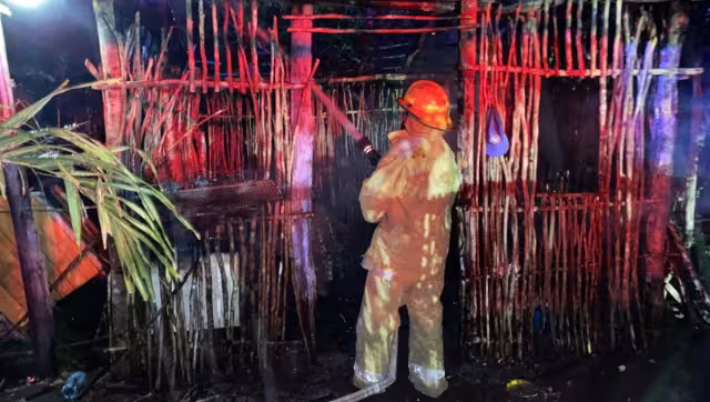 Los invasores se han adueñado de los terrenos pese a tener dueños