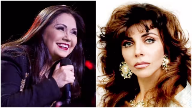 Diversos medios del espectáculo han señalado que este tema se lo dedicó a Verónica Castro. Foto: Especial