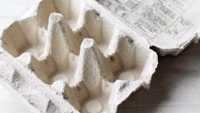 No es ideal quemar cartón de huevo para ahuyentar mosquitos