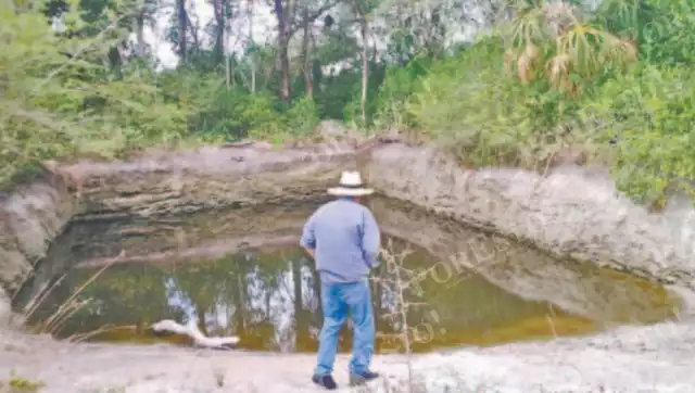 Ganaderos de Sabancuy denunciaron el ingreso ilegal de personas a sus terrenos.