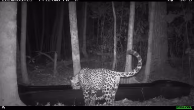 El bebedero rústico es elaborado con materiales reciclados