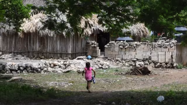 La carencia de escuelas en las zonas rurales genera que los menores no estudien