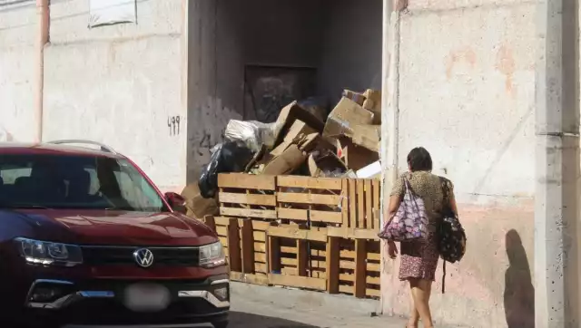 Cajas y empaques se desbordan en la vía pública, generando la proliferación de fauna nociva y malos olores 