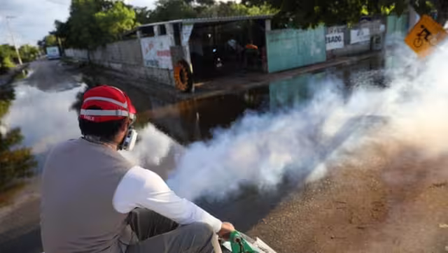 Los casos de dengue en la entidad promedian los 100 diarios