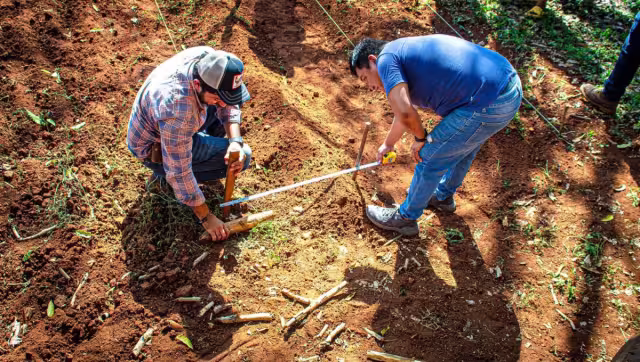 Realizan estudios para conocer el tipo de suelo según el clima