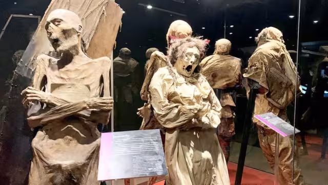 La historia de las momias de Guanajuato tiene más de 100 años