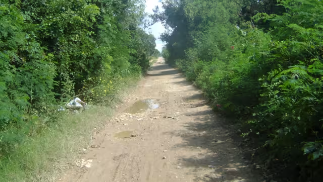 El entrevistado apuntó que el cruzamiento también requiere la instalación de señaléticas