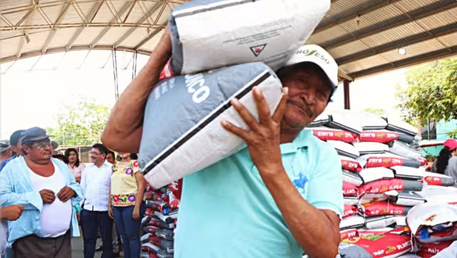 La cobertura actual del proyecto federal abarca a 24 mil 241 campesinos, de los cuales alrededor de mil 800 son de Carmen.