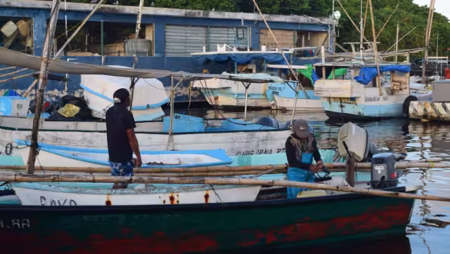 Pescadores ven en la marea roja una amenaza a la temporada de pulpo
