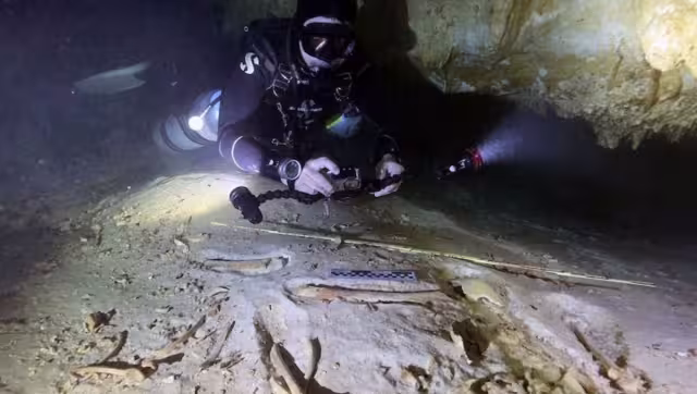 El INAH traslada fósiles humanos a la CDMX hallados en Quintana Roo.