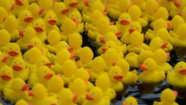 La tendencia se desató por medio de la plataforma de Tiktok