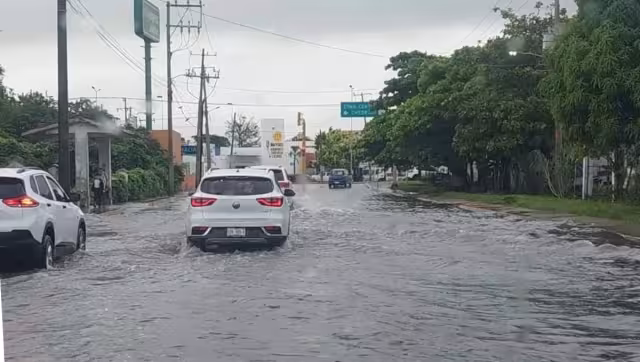 Gran parte de las inundaciones se dieron por parte de la basura acumulada en las alcantarillas