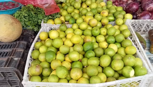 Este producto s lleva a la central de abasto de Oxkutzcab