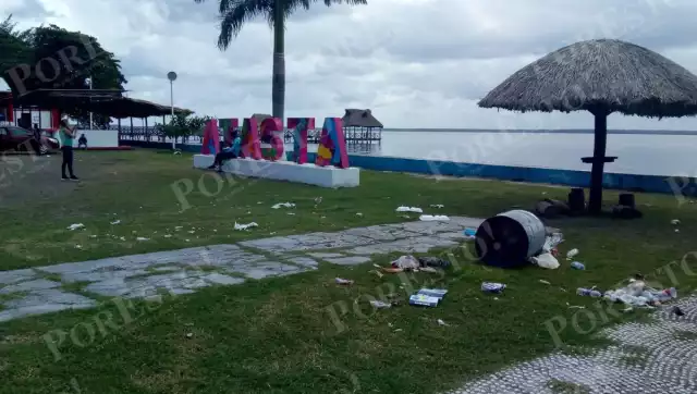 La comercialización no sólo genera ganancias, sino que también contribuye a la protección del agua, el suelo y el ambiente.
