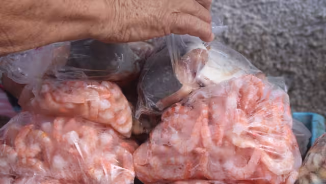 Mariscos a precio justo en Cuaresma en Mérida