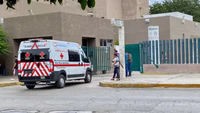 Yucatán registra más de 6 mil casos de dengue