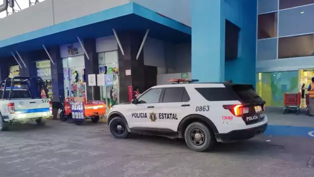 Mujer detenida, tras intentar robar artículos en Chedraui y Palmira