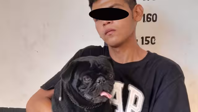 Al detenerlo, el joven hirió a un policía con un desarmador