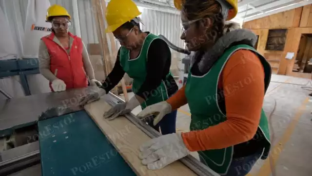 Campeche: casi 40% de la fuerza laboral son mujeres, mayoría en microempresas