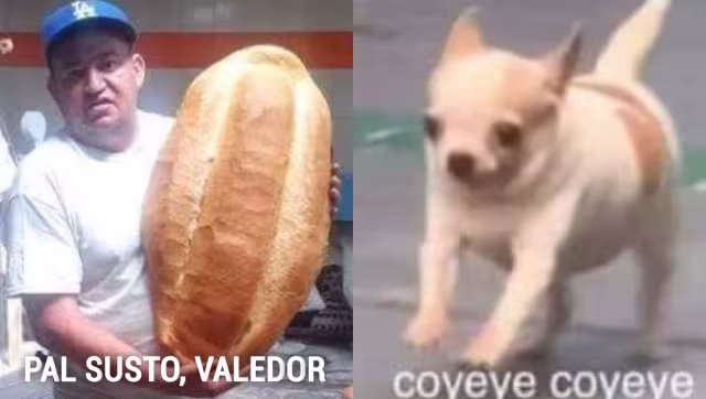 Usuarios han reaccionado con memes sobre el sismo en Cuernavaca