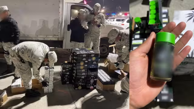 Agentes de la Guardia Nacional y la ANAM gestaron el hallazgo en Tijuana