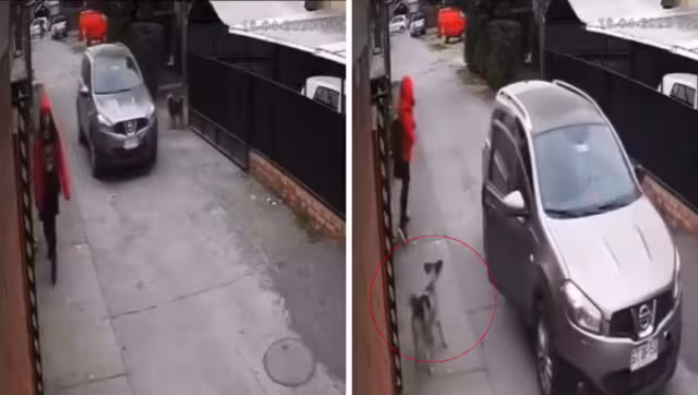 Los secuestrados huyeron gracias al perro